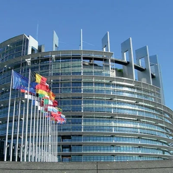 Sector terciario y Administrativo