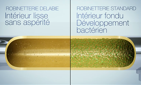 Control de la proliferación bacteriana